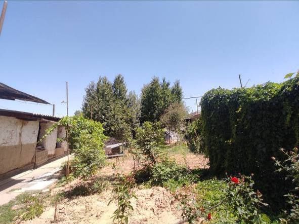 Nazarbek uy uchastka hovli sotiladi