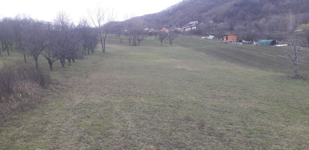 Teren Vladesti Priporu