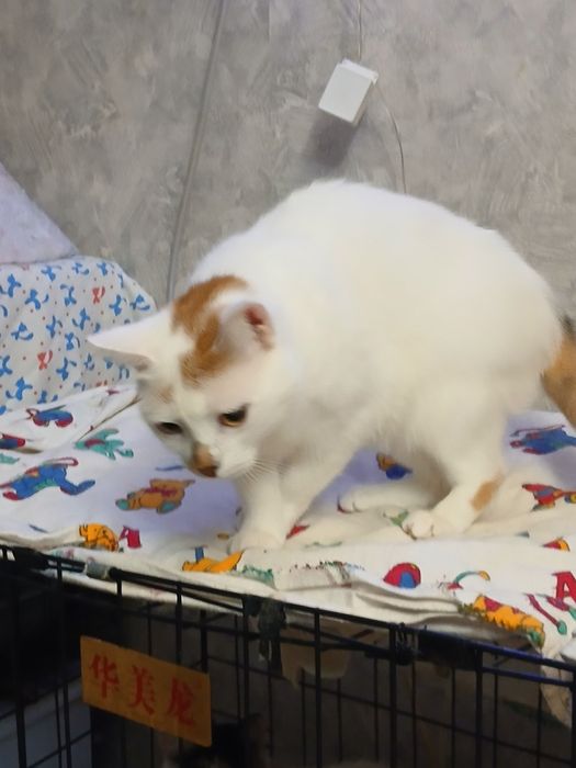 Девочка стерильная дарю