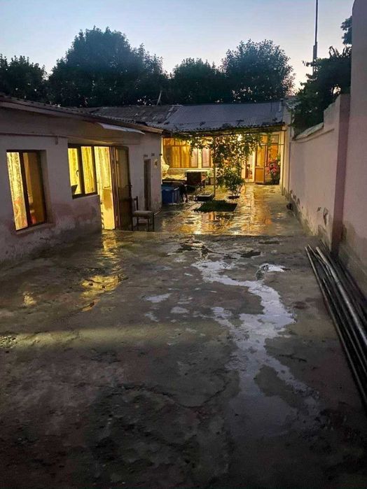 РЕКЛАМА 255  срочно ховли сотувда