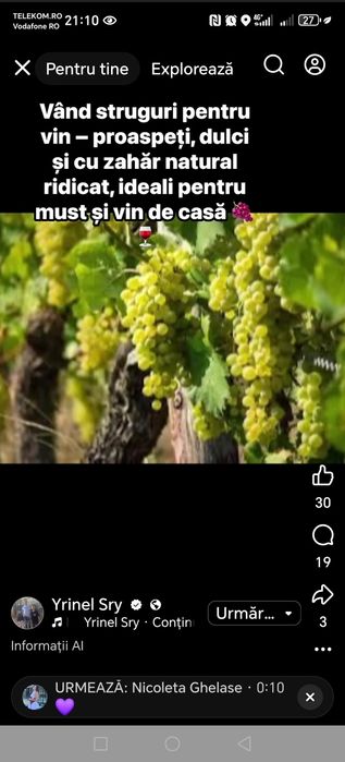 Vând struguri de vin producție 2025. Duce mă în toată țara