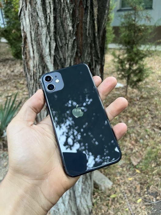Iphone 11       .