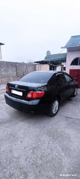 Таета Карола 150