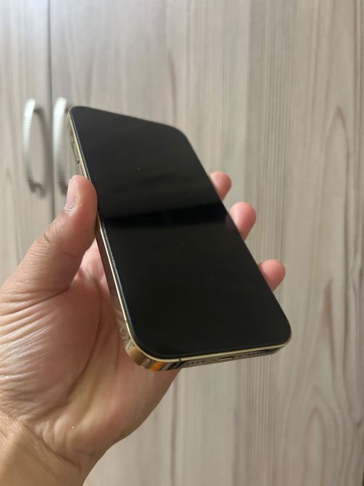 Iphone 13pro max
