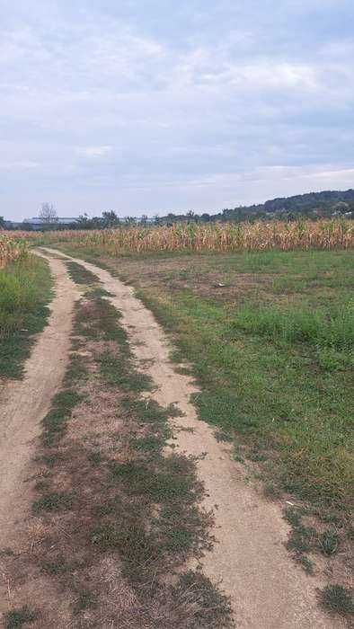 Mărăcineni Argeșelu teren 3500m2