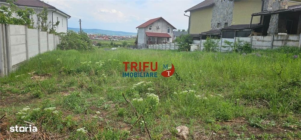 Teren de vanzare Micesti !