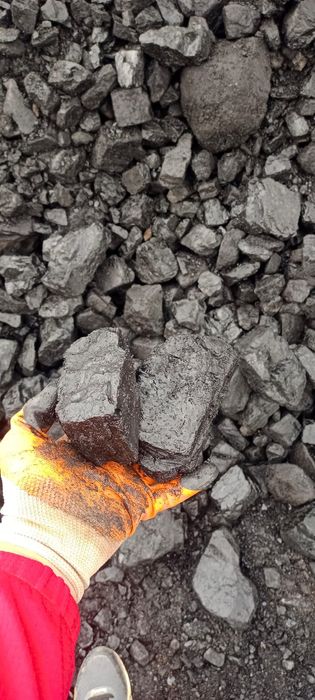 Уголь Каражара Орех Майкуба Сортовой