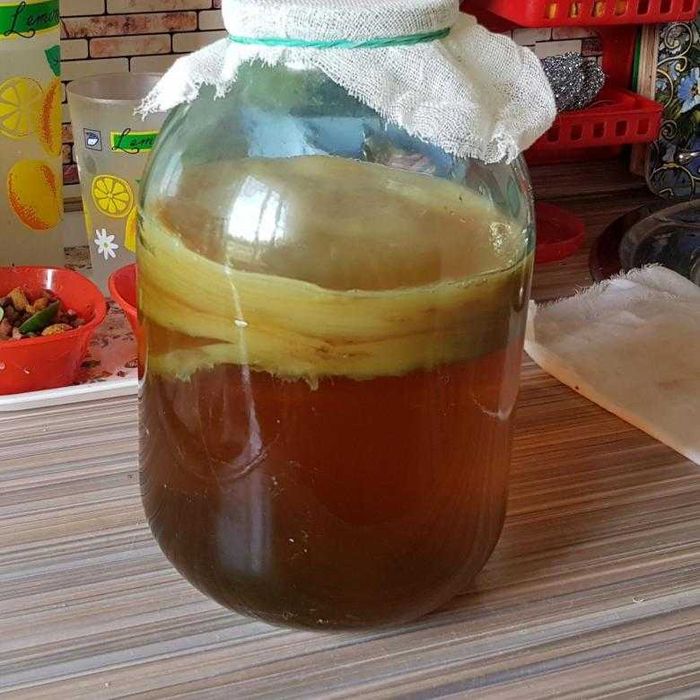 Чайный гриб в 3-х литровой банке с настоем