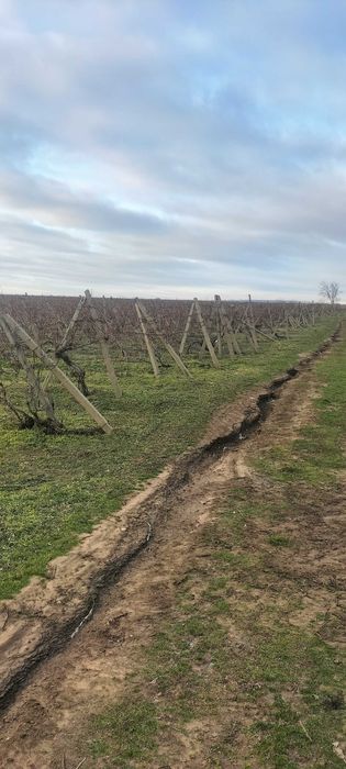 Teren en Slobozia Bradului de 12.300 mp intravilan,intabulat