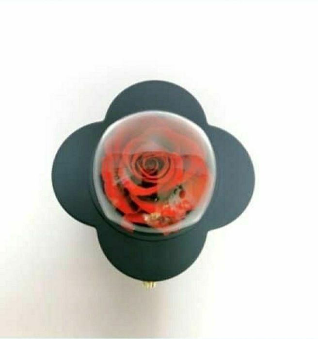 Cutie de bijuterii cu trandafir criogenat +lănțisor inima