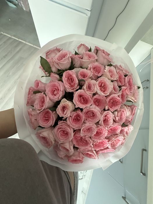 Роза 51 штук свежый