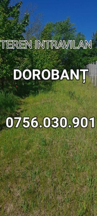 OCAZIE DOROBANȚ! 4235 mp TEREN la 40 euro /mp neg cu toate utilitatile