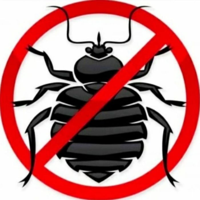 Dezinfeksiya xizmati