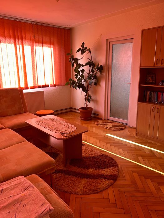 Proprietar : Apartament de vanzare in zona centrala, Aleea Bujorului