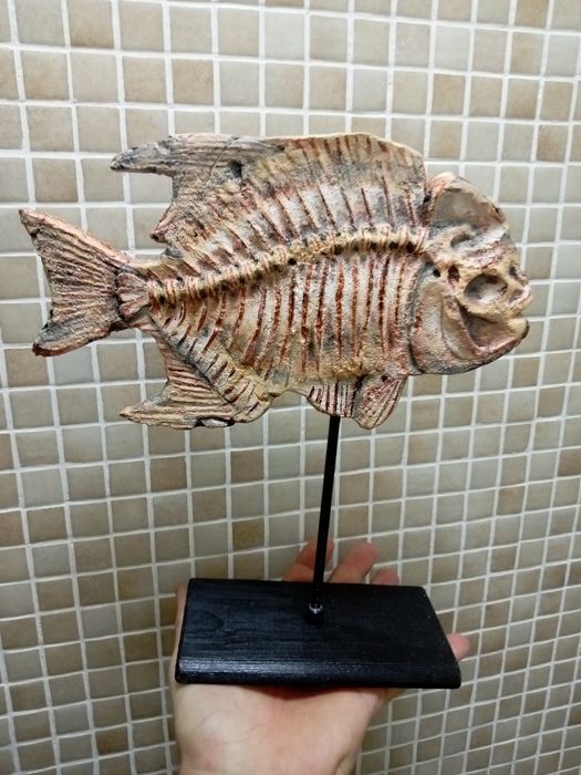 Сувенир, окаменелость, копия.