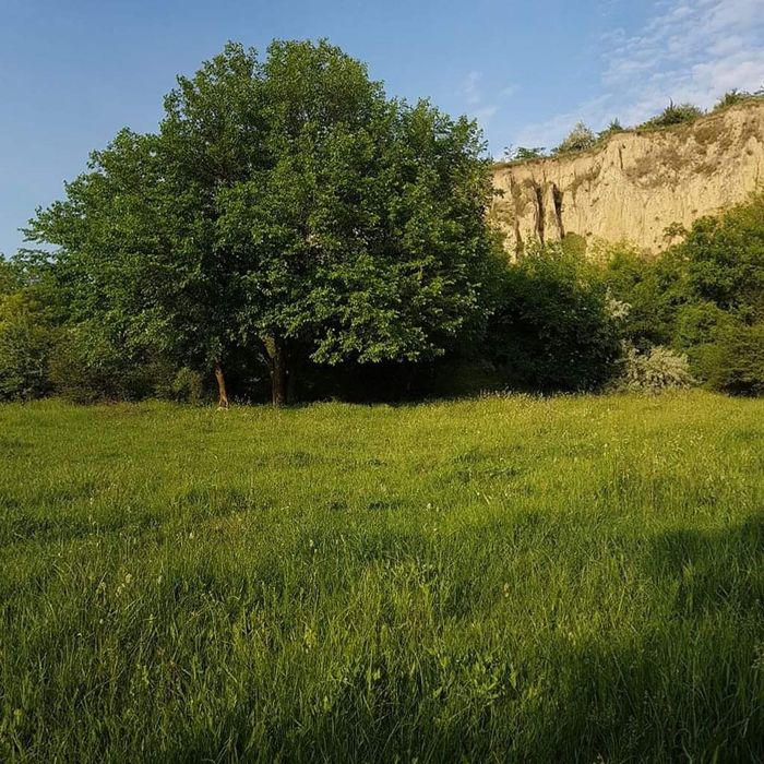 Vând Teren Cochirleni 10.000 mp² in buza Dunării