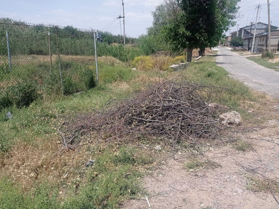 Бесплатно Дрова утин шох шаббалар Тулабеди Янги Тошмидан постдан 8 км.