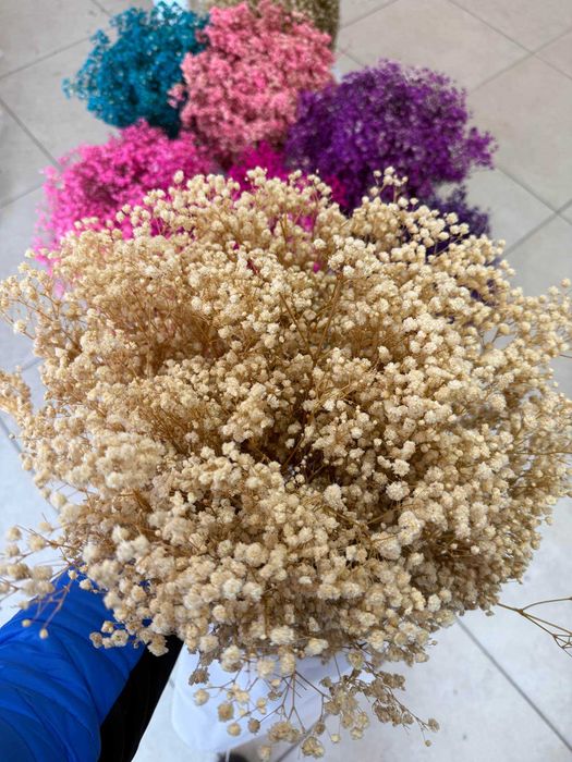 Сух гипсофил - 400 грама