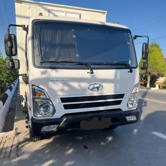 Hyundai mighty bortlik