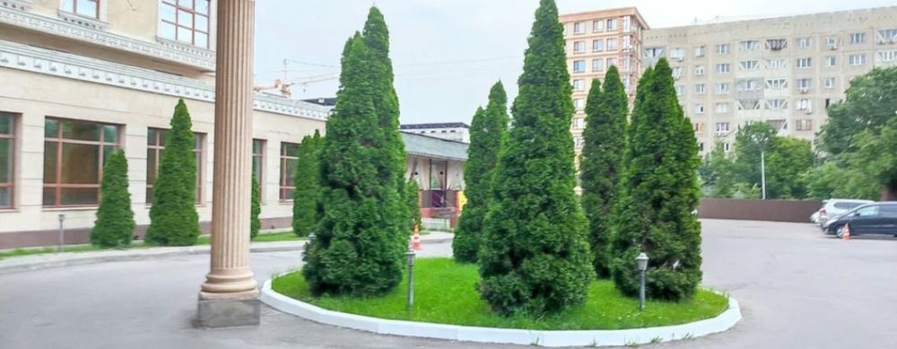 Услуги Садовника в Алматы и Области