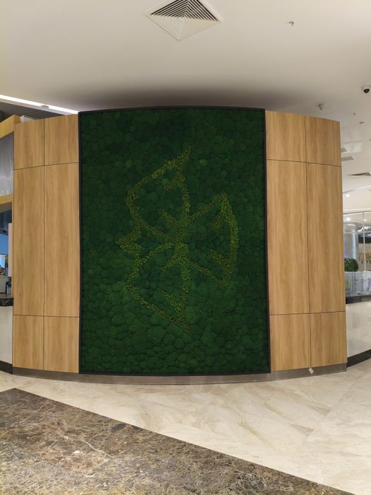 Натяжные потолки и бамбуковые панели