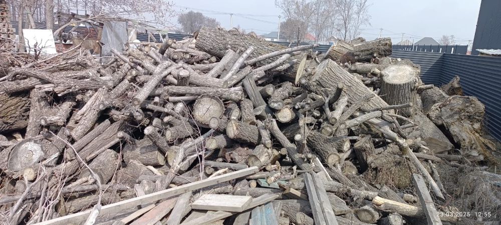 Дрова сухие Карагач