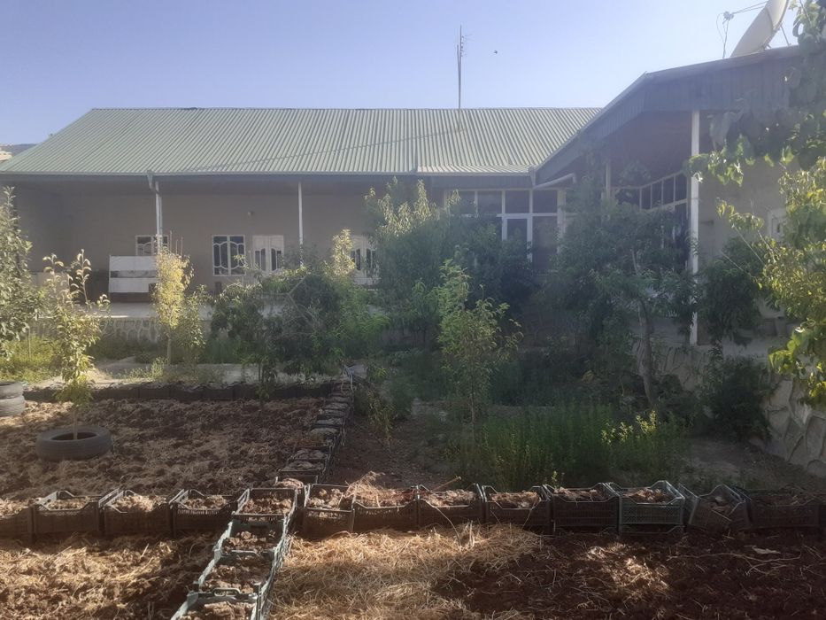 Вобкент шахри марказида 8 сотихли ховли сотилади.