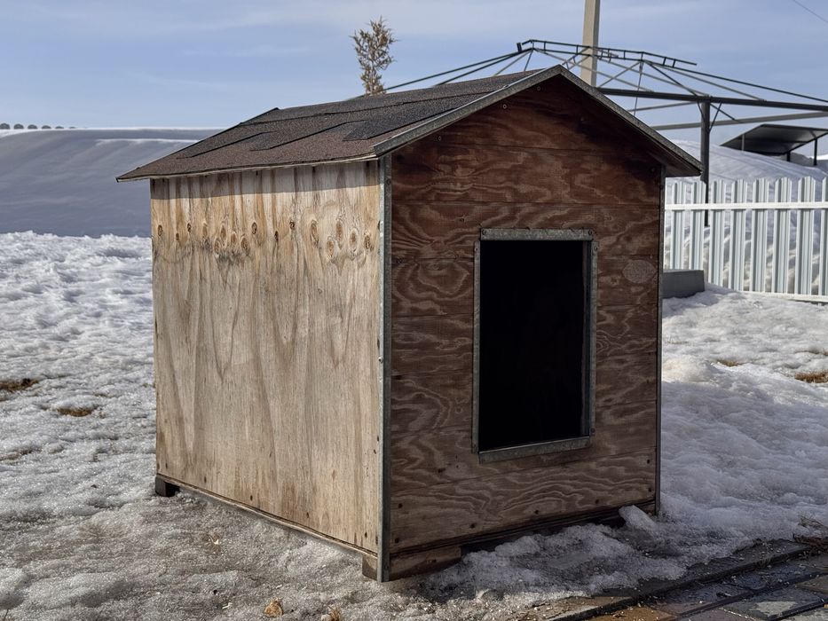 Бутка для собаки