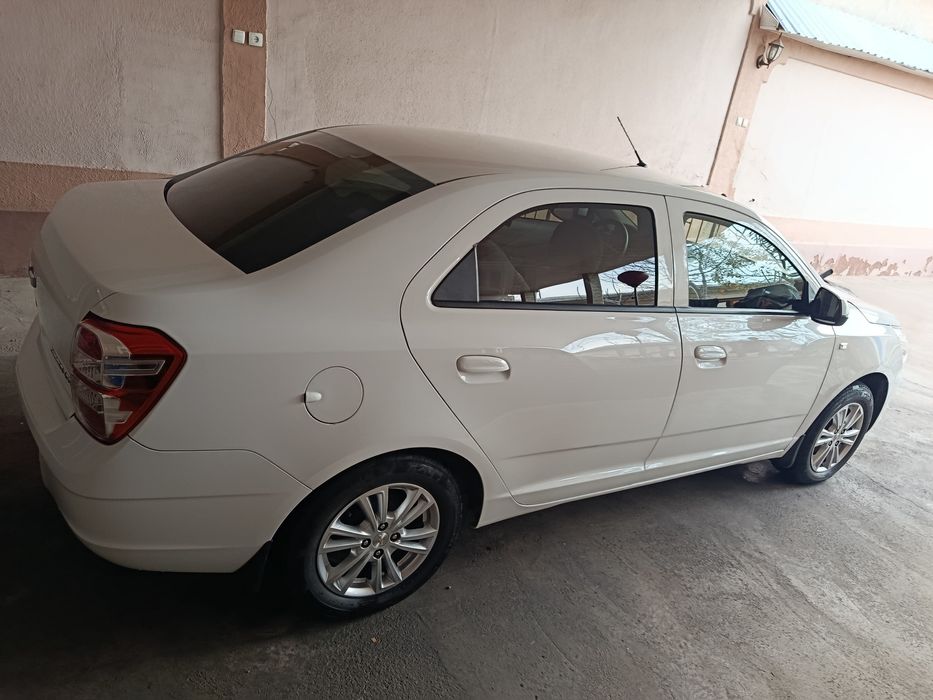 Cobalt 2024 краска тозза