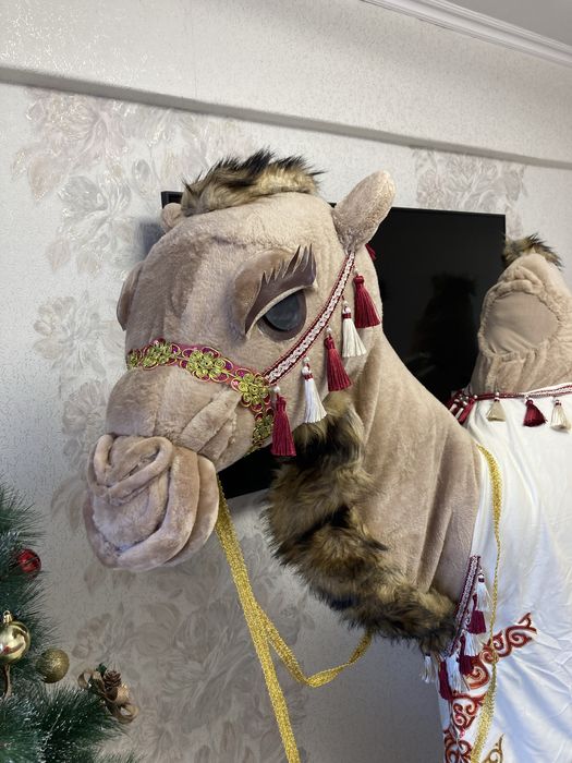 Прокат костюм верблюда
