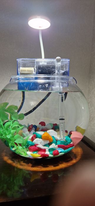 Аквариум 5 литров с фильтром и лампой