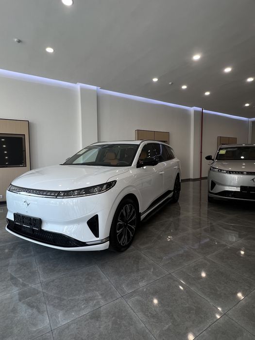 Dongfeng 008 Gibrid 2025 max