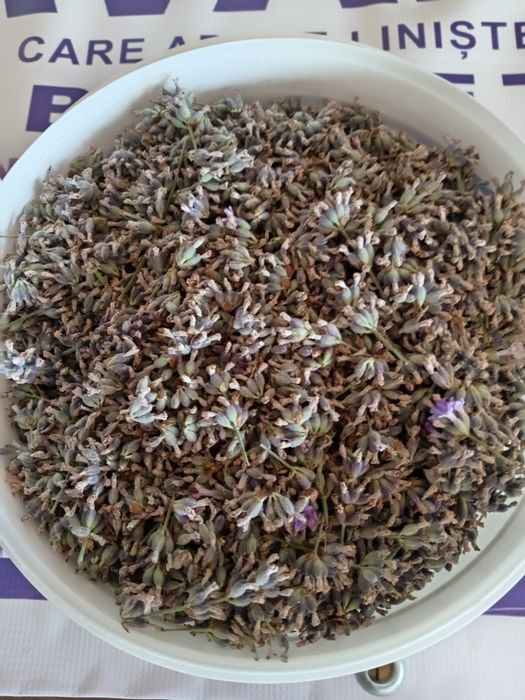 Floare de lavanda la kg