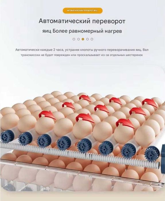 Автомат инкубатор avtomat inkubator