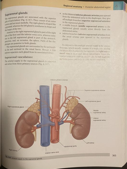 Grey’s Anatomy 2nd edition