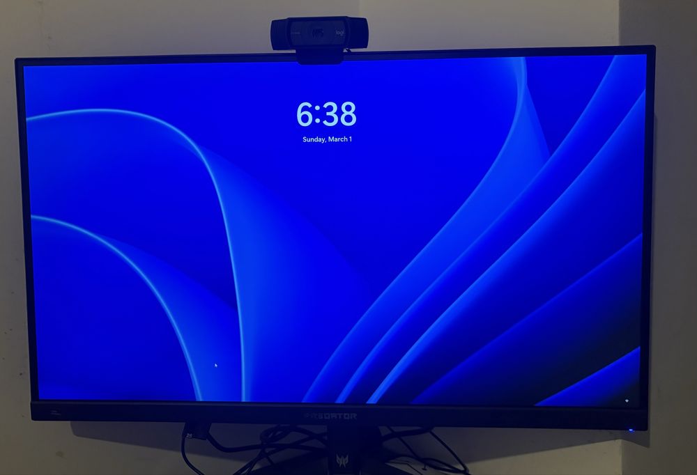 Monitor Gaming Predator