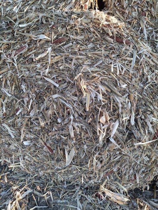 Baloți de tulei/ tocătură de vânzare