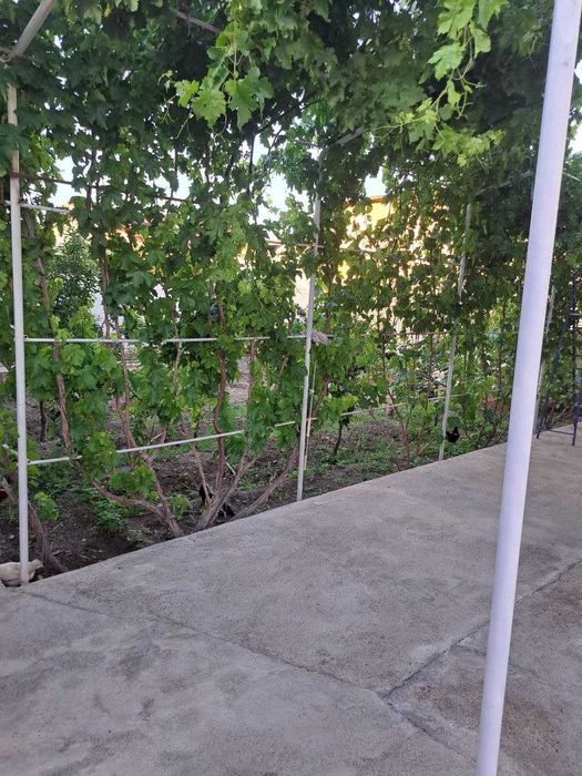 6 сотихли коттежд