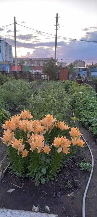 Продажа части дома