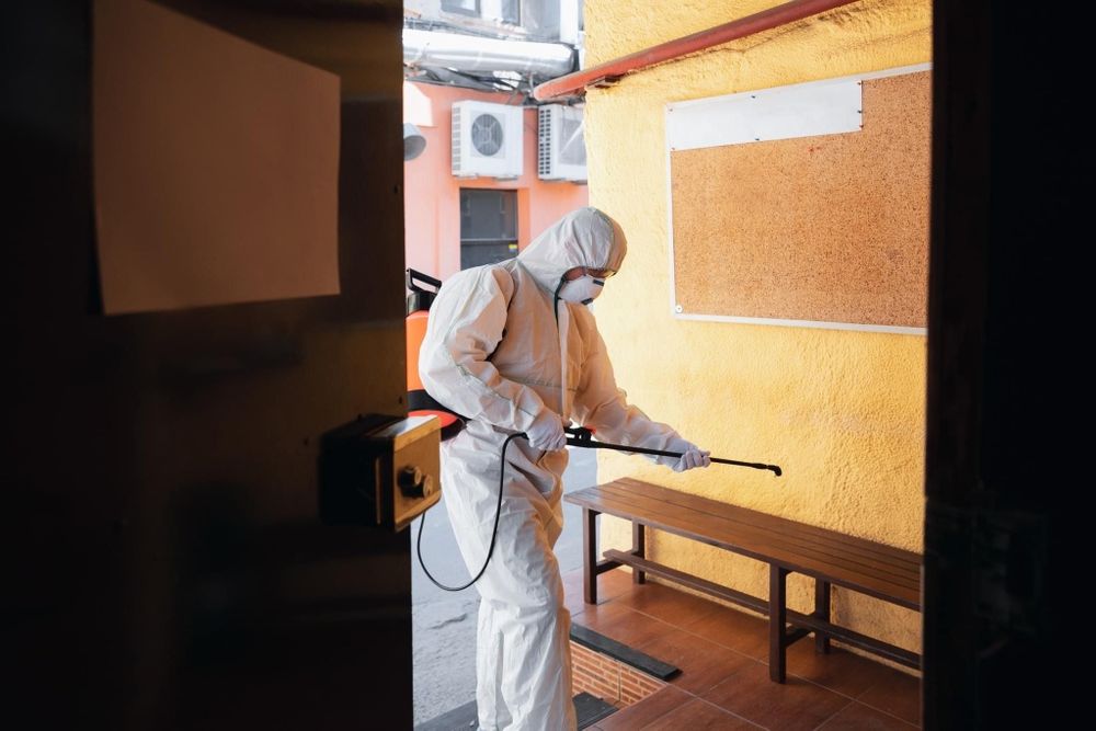 Dezinsectie, Deratizare, Dezinfectie