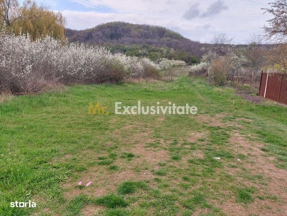 Teren Topoloveni - 3670 mp - langa padure, aproape de Centrul orasului