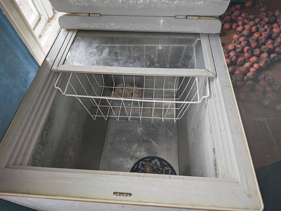 Морозилку холати ало