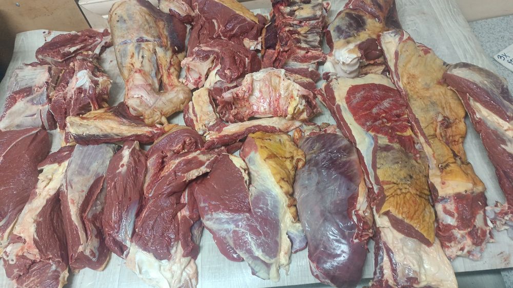 Мясо Из Тургая говядины,