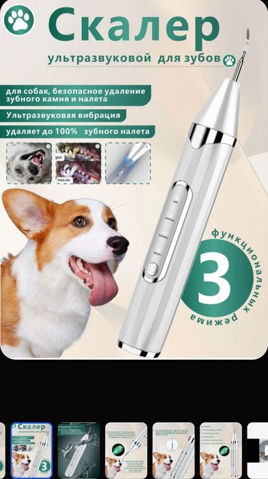 Ультразвуковой скалер для чистки зубов вашему питомцу