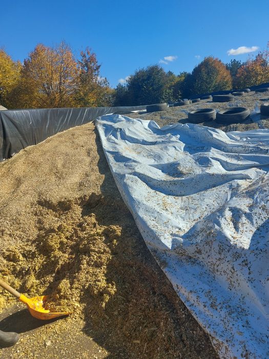 Siloz de porumb  de vanzare