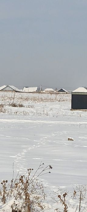 Береке поселок (Жетысу)