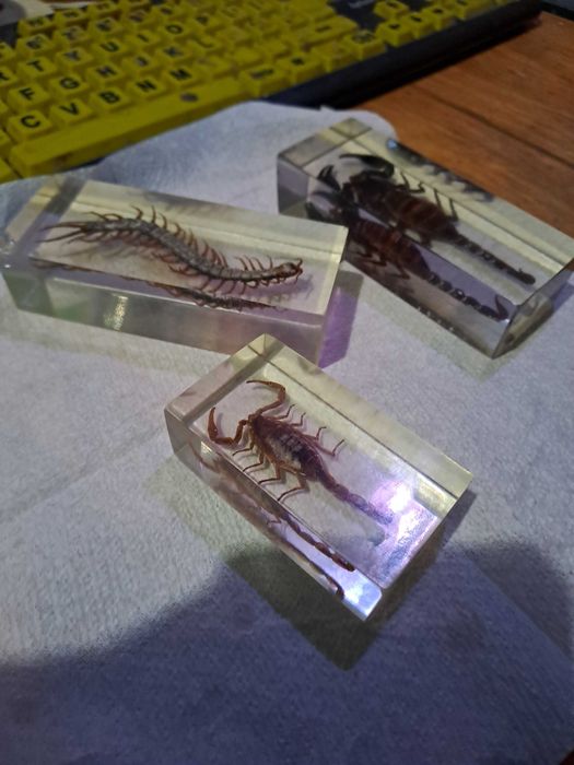 Insectar turnat, scorpion-2buc  si un miriapod