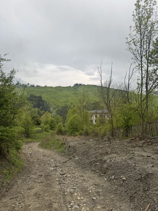 Teren de vanzare Valea Doftanei 2368mp