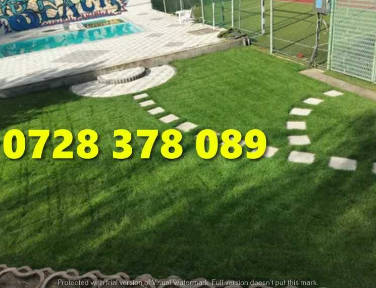 Gazon / Insamantare / Rulouri de Gazon