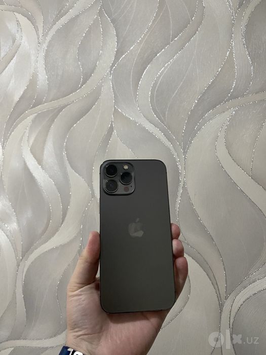 iPhone 13 pro max